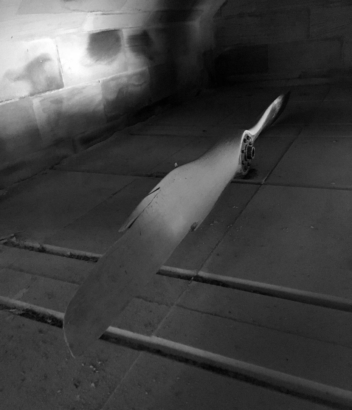 Propellor from the plane Francis lost his life in